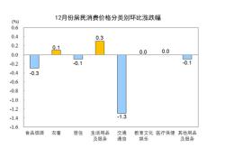 居民消费价格指数上涨影响因素与经济展望