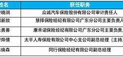 制定一周保险速览的策略情绪管理与目标导向计划