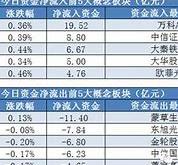 **资金流向与市场洞察基础化工板块的机遇与挑战**

演讲