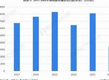 麦格a2民用机场什么时候开工