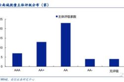 中装发债吧