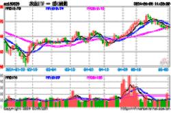 牧原股份财经视角下的投资潜力与市场展望