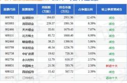 融资榜稀有金属融资净买入万元，居可比基金首位