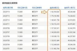 融资榜银行融资净买入万元，居可比基金首位