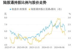 华电国际资金流向分析报告