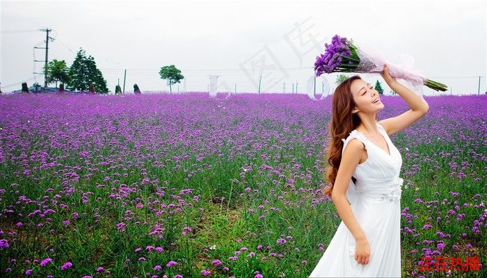 少女哔哩哔哩高清在线观看