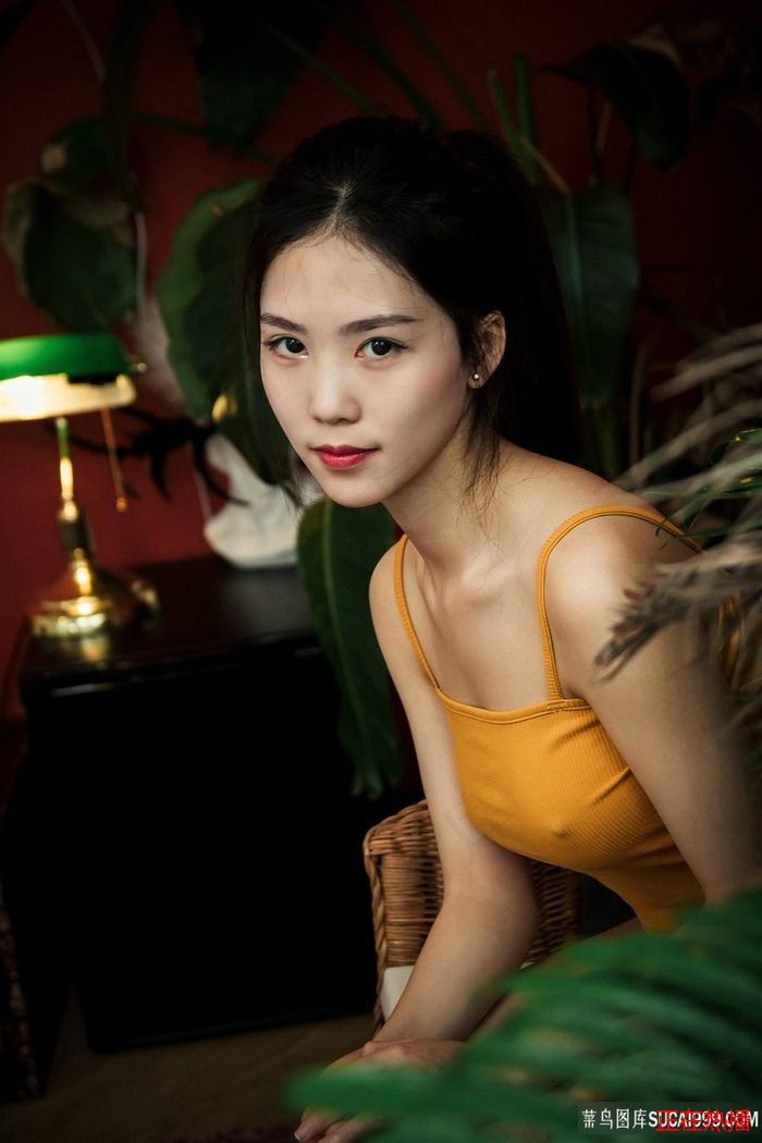 少女哔哩哔哩高清在线观看