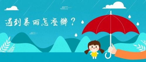 预计北京全市暴雨来袭，城市如何应对挑战