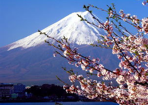 日本小镇的拉网行动，遮挡富士山景的背后