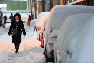 新疆八月惊现暴雪，气候变迁下的新挑战