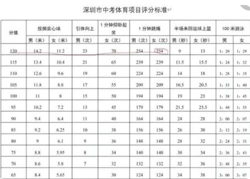 郑钦文父母与体育公司的崛起