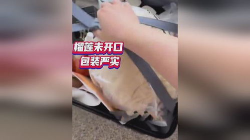 女子带榴莲上高铁被拦致错过列车，反思与启示