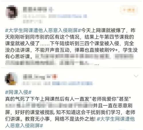 女教师遭网课爆破猝死，悲剧背后的警示与反思