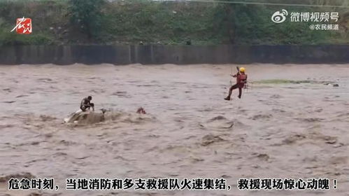 露营基地突发洪水多人被水流冲走，生死营救与灾后反思