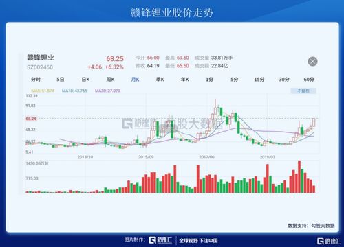 股票002460，赣锋锂业的投资分析报告