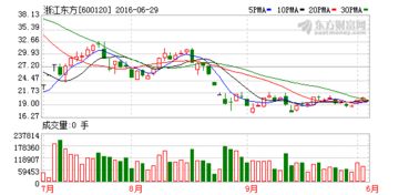 浙江东方集团股份有限公司投资分析报告