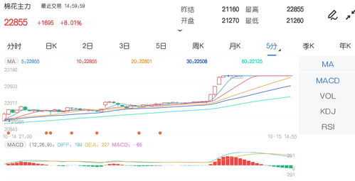 棉花期货最新实时行情分析与投资策略