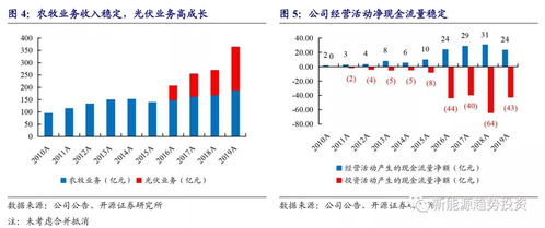 深入分析股票600630的投资价值与前景