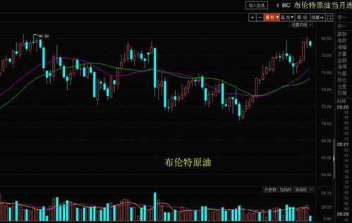 股票000877，深入分析与投资策略