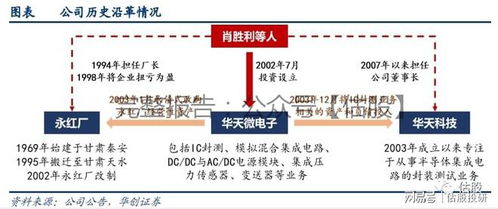 佛塑科技股票投资分析报告