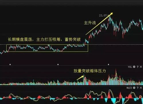 高端股票软件在投资理财中的应用与价值