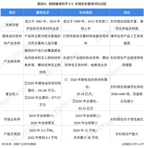 杉杉股份有限公司投资分析报告