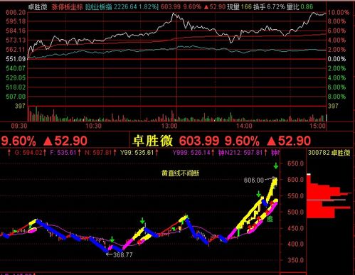 在天天股票网上高效选股与理财策略