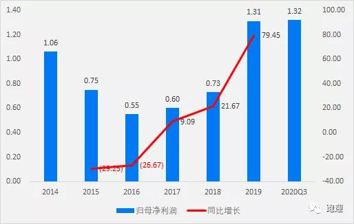 华夏优势增长股票深度解析