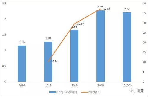 华夏优势增长股票深度解析