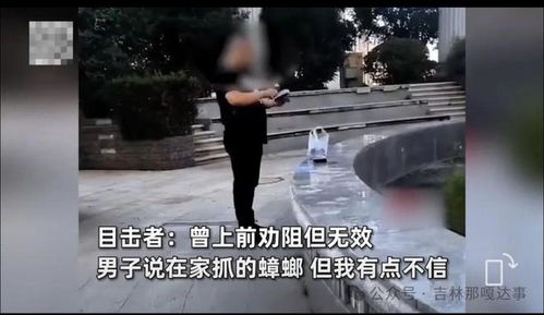 男子闹市区一盒盒放生蟑螂，城市生态失衡下的荒诞行为