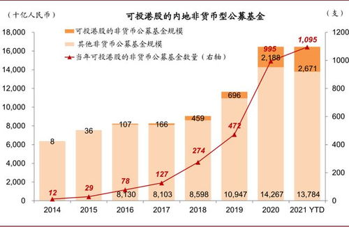 深入解析100056基金净值及其投资价值