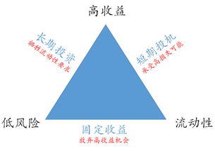 深入解析高鸿股份的投资价值与风险评估