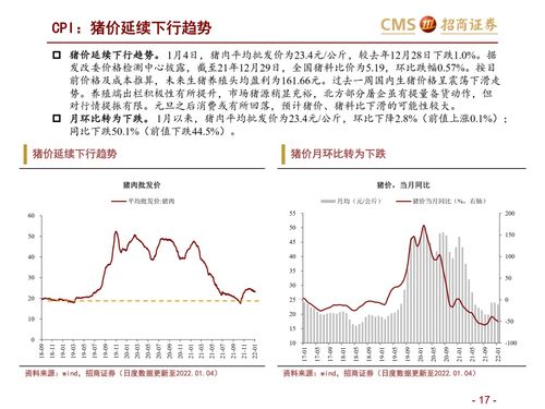 阳光城股票分析报告