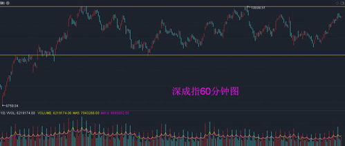 深科技股票投资分析与策略