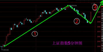 601009股票分析与投资策略