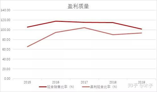 头盔制造行业股票概览与投资分析