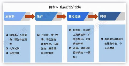 000050深天马A，探索投资价值与风险