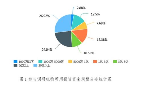 股票研究网，如何利用专业平台提升投资智慧