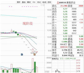 康美药业股票分析与投资建议