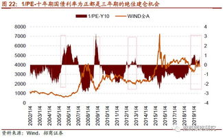 次新股的投资策略与风险评估