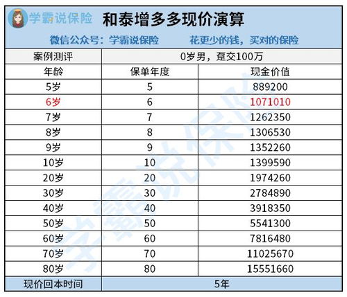 中国人寿最新险种深度解析与投资建议