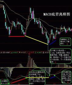 股票入门，了解股票的真正含义与投资价值