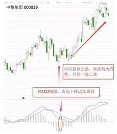 股票市场操作指南，从新手到高手的进阶之路