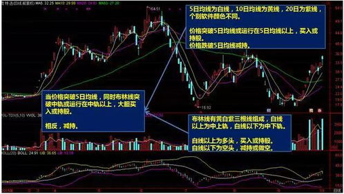 股票行情分析与投资策略，解读Guba8平台信息