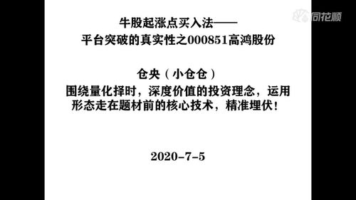 000851高鸿股份，深入解析与投资策略