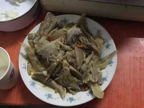 女子晒炒蘑菇视频吓坏网友，烹饪背后的神秘力量