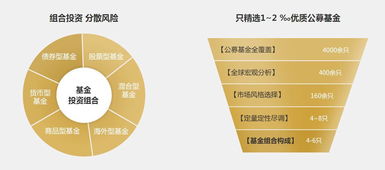 基金162703，深入解析与投资策略