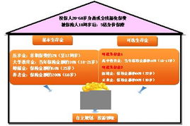 国寿鸿盈两全保险分红型，稳健理财与风险保障的双重选择