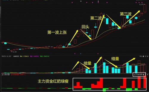 股票涨停时的投资策略与风险考量