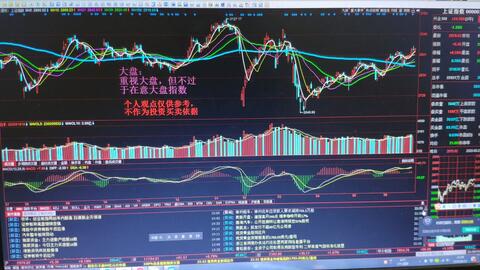 股票涨停时的投资策略与风险考量